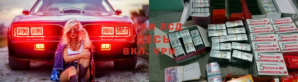 СК Волосово