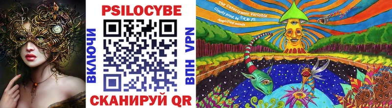 Псилоцибиновые грибы MAGIC MUSHROOMS  где найти наркотики  Гаджиево 